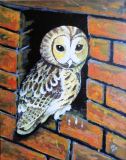 37 - Frank  Rabin 'Barn Owl' Acrylic.JPG